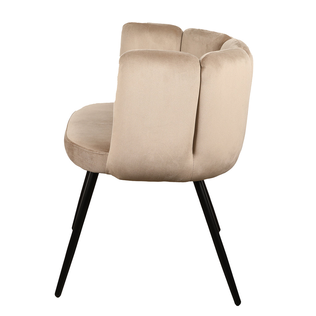 Pole to Pole High Five Eetkamerstoel